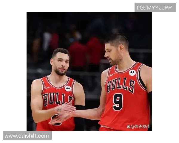 尼古拉武切维奇的传奇人生与篮球梦想的追逐之路